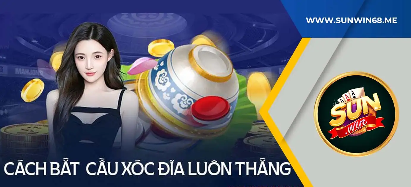 Tổng hợp các chiến lược bắt cầu xóc đĩa chính xác